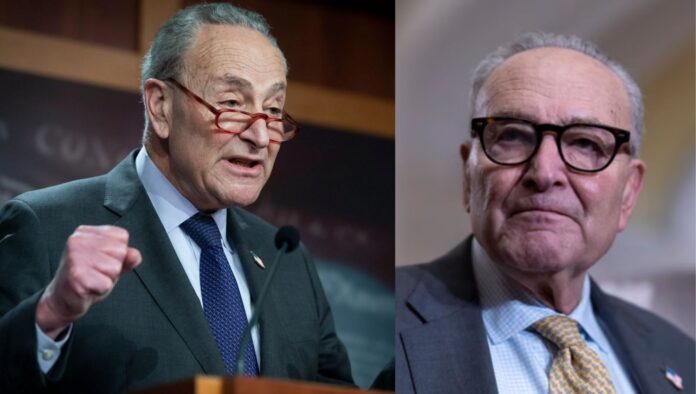 chuck schumer net worth